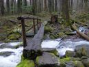 Cosby-creek-footbridge-gsmnp1.jpg