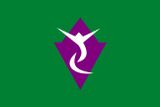 Флаг