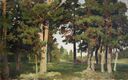 Forest. Study (Shishkin).jpg