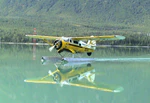 Norseman Kenai River.jpg