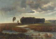 Savrasov swamp island.jpg