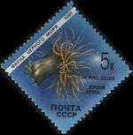 Stamp Soviet Union 1991 CPA 6280black.jpg