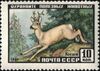The Soviet Union 1961 CPA 2537 stamp (Siberian Roe Deer).jpg