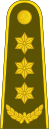18-Lithuania Army-COL.svg