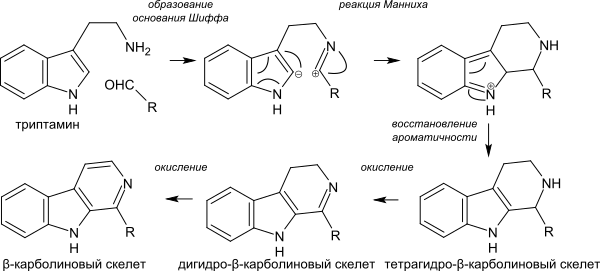 Beta-carboline moiety biosynthesis ru.svg