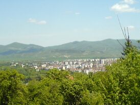 Артовкс