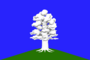 Flag of Dubrovskoe (Ulyanovsk oblast).png