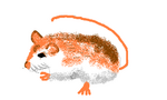 Gerbillusgerbillus.PNG