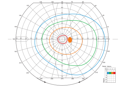 Регистрационный лист поля зрения (периметрия по Гольдману)