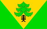 Флаг