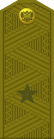 Russia-Army-OF-6-1994-camo.svg