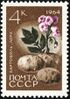 The Soviet Union 1964 CPA 3065 stamp (Agricultural Crops of the USSR. Potato or ground apple 'lorch' (Solanum tuberosum)).jpg