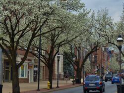 York Pennsylvania -002.JPG