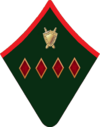 Армвоенюрист шинель.png