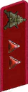 петлица 1937