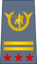 13-ROCongo Air Force-COL.svg