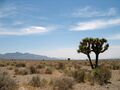 Basin and Range Nevada.JPG