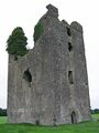 Castles of Leinster- Tinnakill, Laois (2) (geograph 6506412).jpg