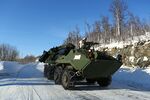 LAV-R - 140318-M-XI134-651.jpg