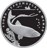 RR5110-0086R.png