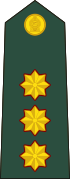 Sri Lanka-army-OF-2.svg