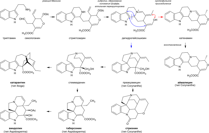 Terpenoid indoles biosynthesis.svg