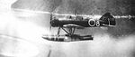 Yokosuka E14Y in flight.jpg