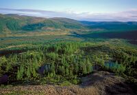 Baykal-Lena nature reserve.jpg