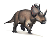 Centrosaurus.png