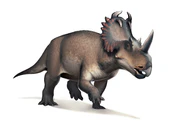 Centrosaurus.png