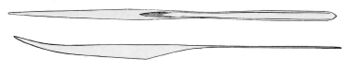 Mastigoteuthis agassizii gladius.jpg