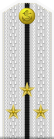Russia-Navy-OF-1c-1994-white.svg