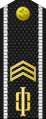 Russia-Navy-OR-5-1994-everyday.svg