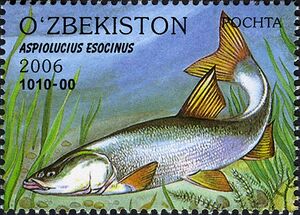 Stamps of Uzbekistan, 2006-037.jpg