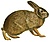 Wild animals of North America, intimate studies of big and little creatures of the mammal kingdom (Page 511) (Sylvilagus palustris).jpg