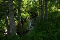 Долина реки Кикенки 04.jpg