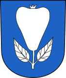 Флаг