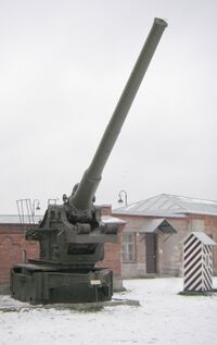 Br-17 gun.jpg