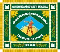 Flag of Lithuanian Duke Vaidotas Mechanised Infantry Battalion.jpg