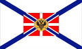 Flag of the Grand Duke of the Caucasus 1870-1917.png