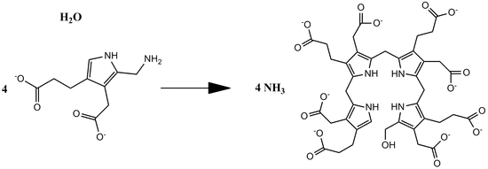Overall reaction of PB deaminase