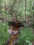 Wupper quellgebiet.jpg