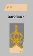 Lieutenant Colonel.