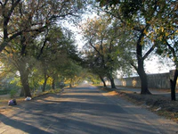 Frunze Street, Melitopol, Zaporizhia Oblast, Ukraine 4.JPG