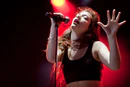 Lorde Lollapalooza 2014 (2).jpg