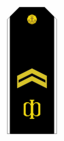 RAF N R4PO2ndC 1994-2010par.png