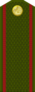 Tajikistan-Army-OR-1.png