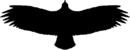 Vultur Silhouette.png