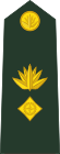 Bangladesh-army-OF-4.svg