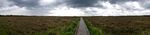 Clara bog boardwalk. 07.jpg